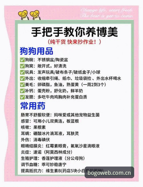 博狗使用教程使用指南：资深用户分享从注册到投注的实战经验